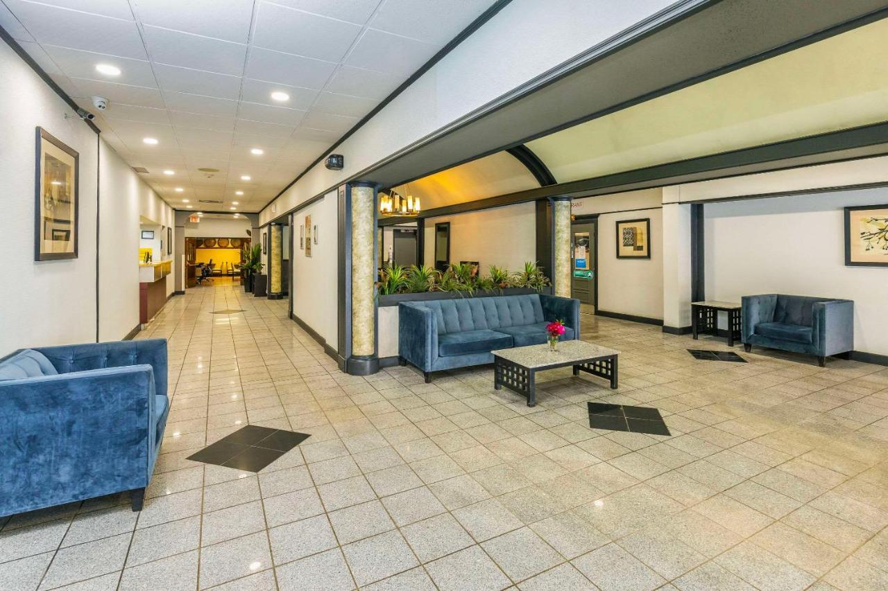 Comfort Inn & Suites Edmonton Exterior photo