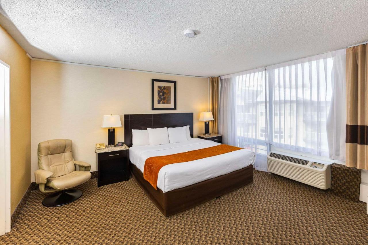 Comfort Inn & Suites Edmonton Exterior photo
