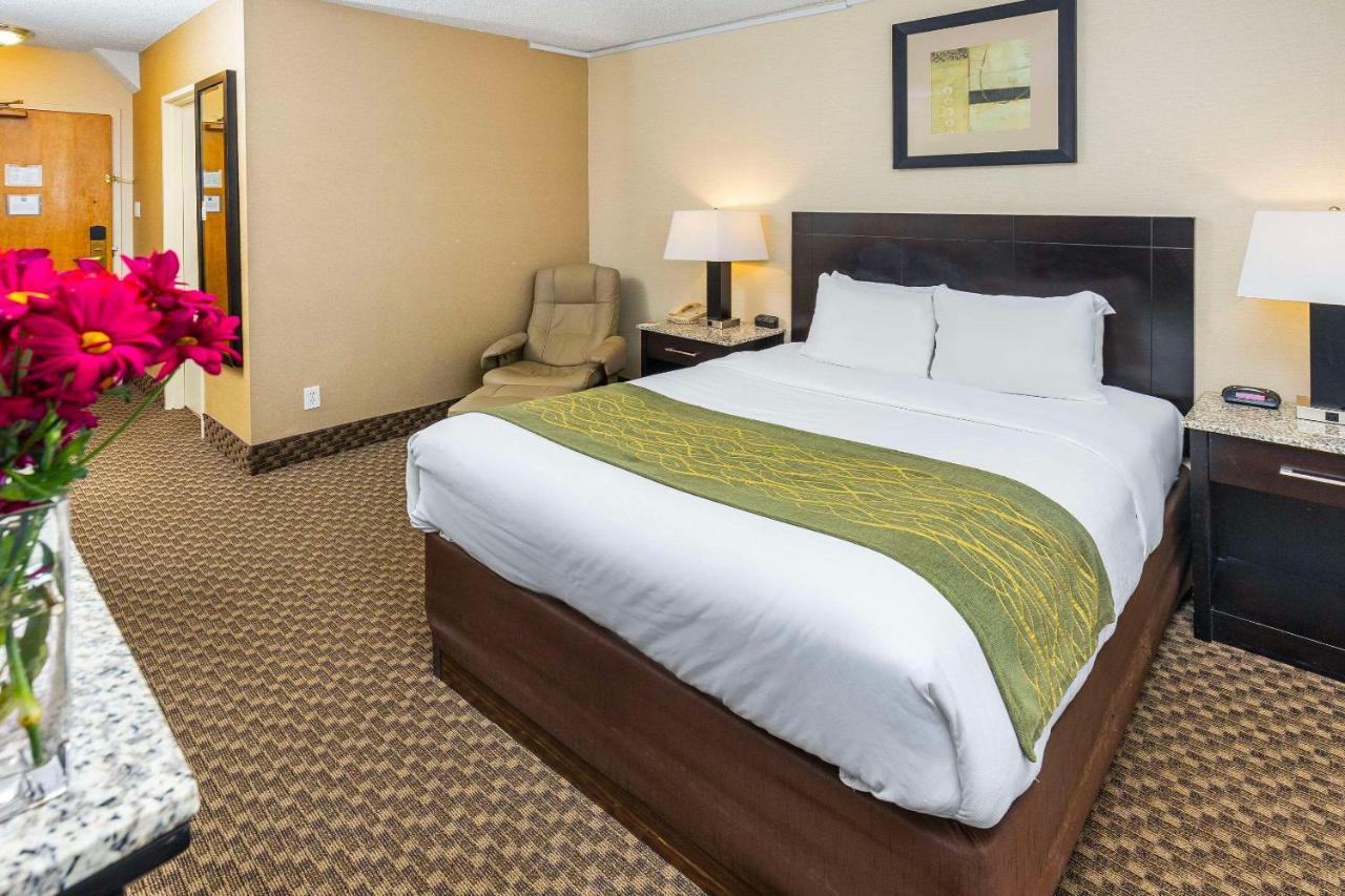 Comfort Inn & Suites Edmonton Exterior photo