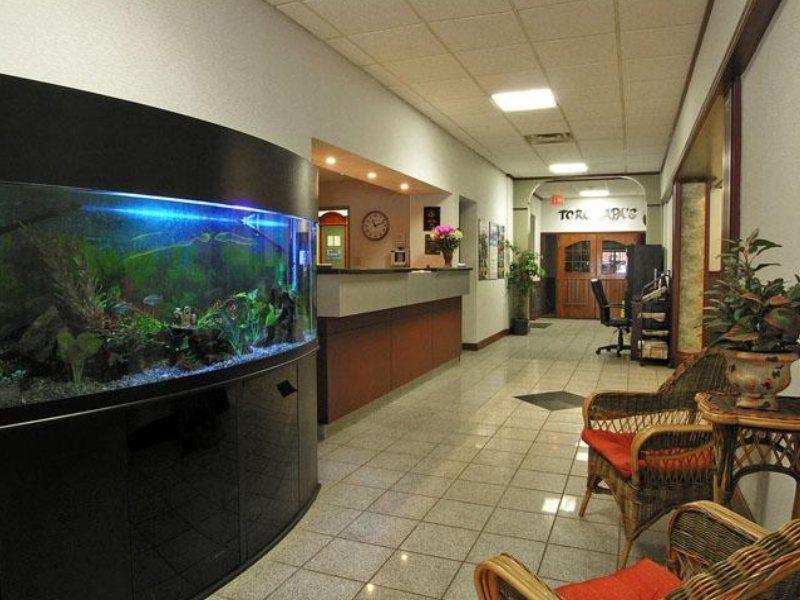 Comfort Inn & Suites Edmonton Interior photo